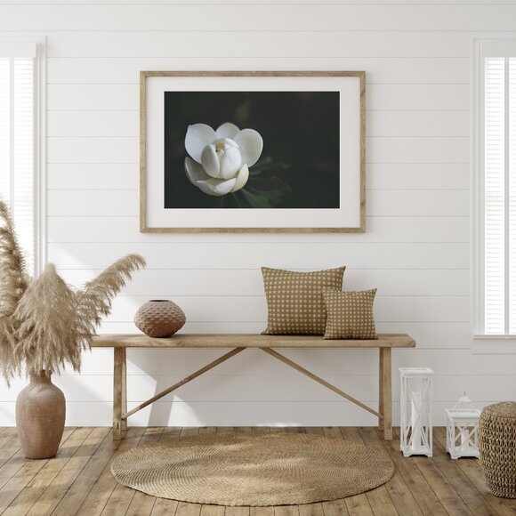 Steel Magnolia Photography